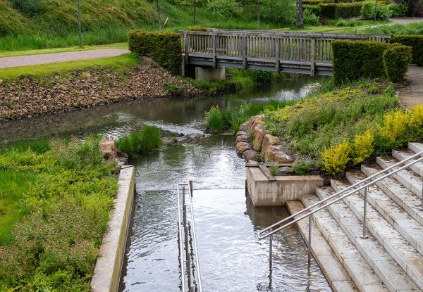 Image -